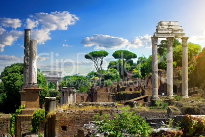 Ruined Roman Forum