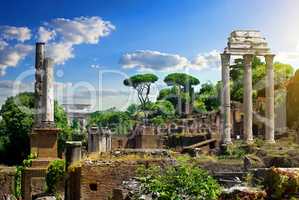 Ruined Roman Forum