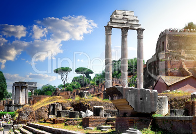 Ruins of Roman Forum