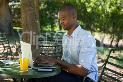 Young man using laptop at restaurant