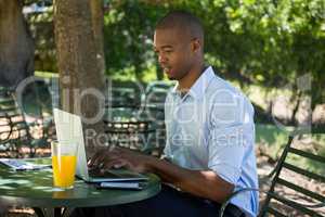 Young man using laptop at restaurant