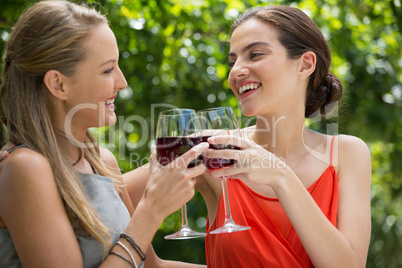 Smiling female friends toasting red wine glasses at restaurant