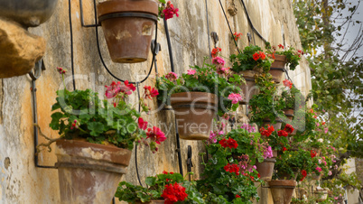 Colorful flowers lining a medieval stone wall