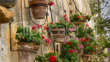Colorful flowers lining a medieval stone wall
