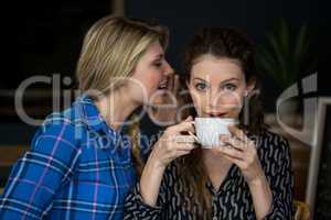 Woman whispering secret into female friend ear in cafe