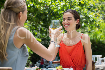 Smiling female friends toasting wine glasses at restaurant