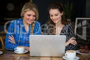 Smiling women using laptop in coffee shop