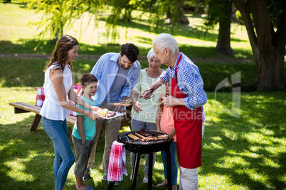 Multi generation family enjoying the barbeque in park