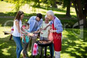 Multi generation family enjoying the barbeque in park