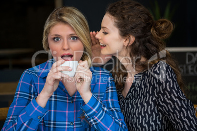 Woman whispering secret into female friend ear in coffee shop