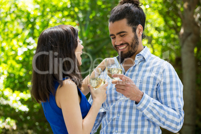 Cheerful couple toasting wine glasses in park