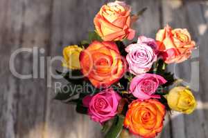 Roses in a rainbow of colors