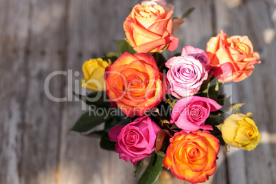 Roses in a rainbow of colors