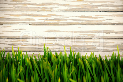 Composite image of grass growing outdoors