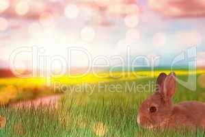 Composite image of bunny with polka dot easter eggs