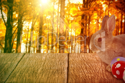 Composite image of bunny with polka dot easter eggs