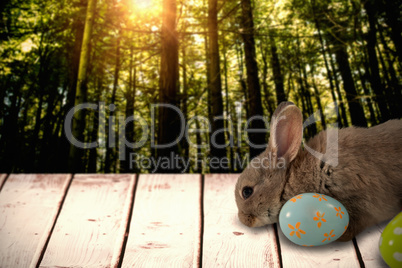 Composite image of bunny with floral pattern easter egg