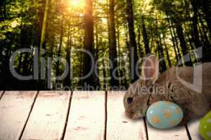 Composite image of bunny with floral pattern easter egg