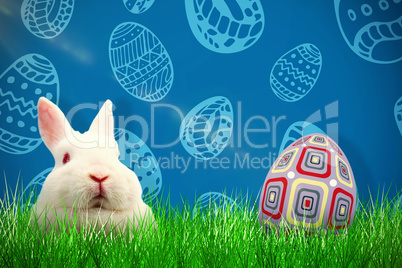 Composite image of close up portrait of rabbit