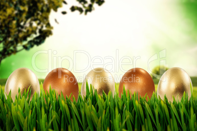 Composite image of grass growing outdoors