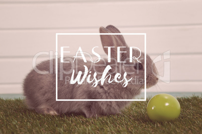 Composite image of easter greeting