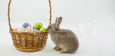 Basket with Easter eggs and bunny