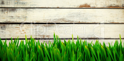 Composite image of grass growing outdoors