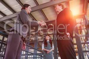 Businessman shaking hands with female partner