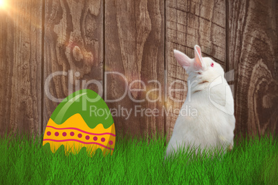 Composite image of rear view of cute rabbit