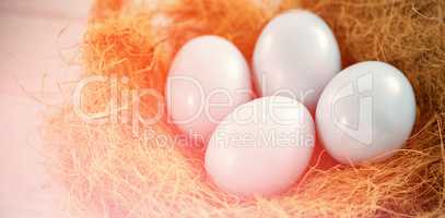 Blue Easter eggs in nest