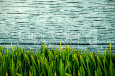 Composite image of grass growing outdoors