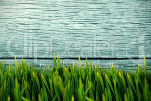 Composite image of grass growing outdoors