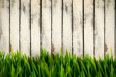 Composite image of grass growing outdoors