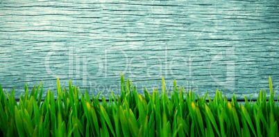 Composite image of grass growing outdoors