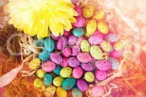 Colorful easter eggs in wicker basket with flower