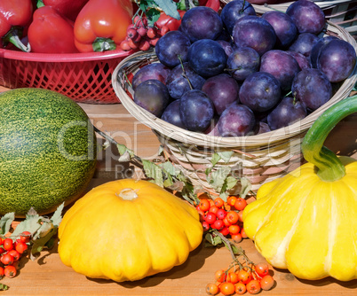 Still life: plums, pumpkins and other vegetables.