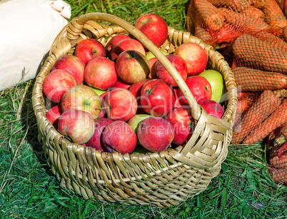 The apples in the basket are sold at the fair.