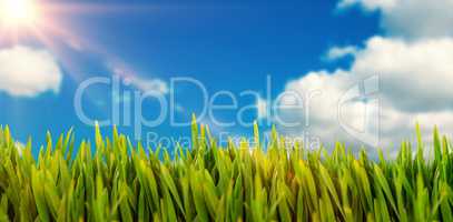 Composite image of grass growing outdoors