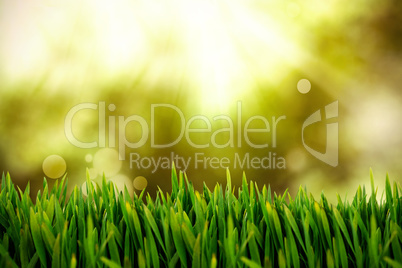 Composite image of grass growing outdoors