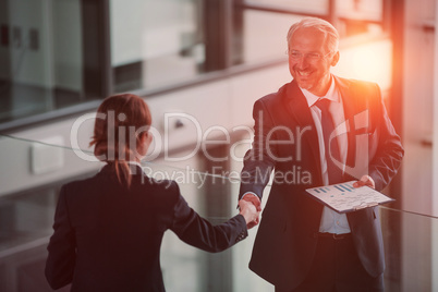 Businessman shaking hands with colleague