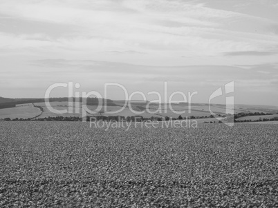 English country panorama in Salisbury in black and white
