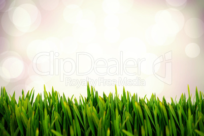 Composite image of grass growing outdoors