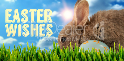 Composite image of bunny with floral pattern easter egg