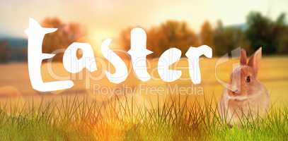 Composite image of easter greeting