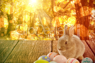 Composite image of bunny with patterned easter eggs