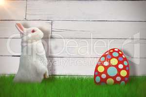 Composite image of side view of cute rabbit