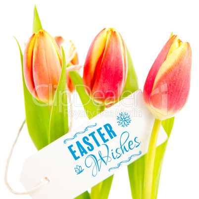 Composite image of easter wishes logo against white background