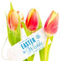 Composite image of easter wishes logo against white background