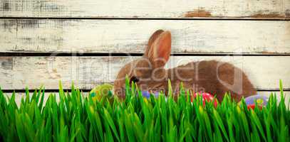 Composite image of grass growing outdoors