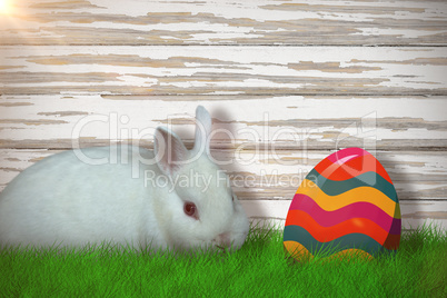 Composite image of portrait of cute white bunny